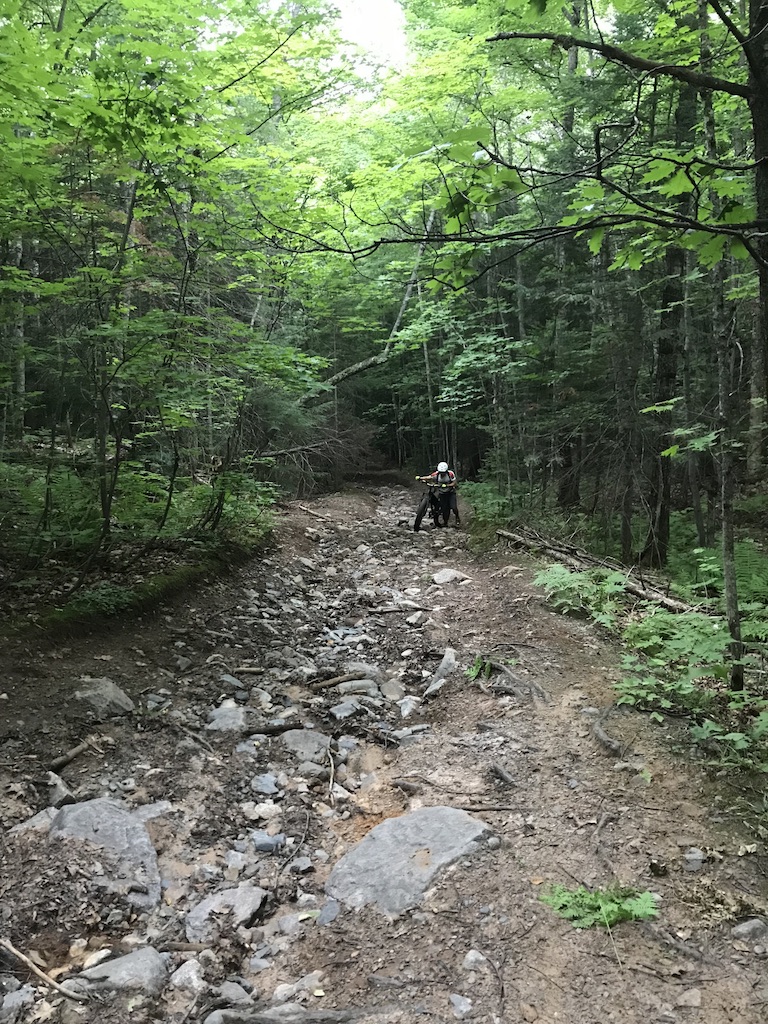 UNADJUSTEDNONRAW_thumb_e707